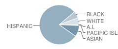 Blythe Street Elementary School Student Race Distribution