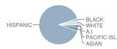 Broad Avenue Elementary School Student Race Distribution