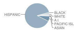 Chase Street Elementary School Student Race Distribution