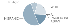 Chatsworth High School Student Race Distribution