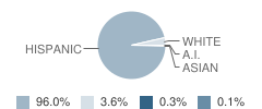 Corona Avenue Elementary School Student Race Distribution