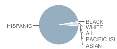 Gridley Street Elementary School Student Race Distribution