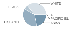 Alfred Bernhard Nobel Middle School Student Race Distribution