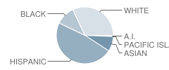 Woodland Hills Academy Student Race Distribution