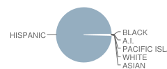 Theodore Roosevelt High School Student Race Distribution