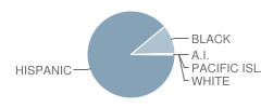 Russell Elementary School Student Race Distribution