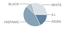 Superior Street Elementary School Student Race Distribution