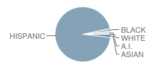 Sylvan Park Elementary School Student Race Distribution