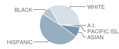 Taper Avenue Elementary School Student Race Distribution