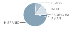 Toluca Lake Elementary School Student Race Distribution