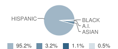 Utah Street Elementary School Student Race Distribution