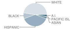 Valley View Elementary School Student Race Distribution