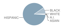 Vermont Avenue Elementary School Student Race Distribution