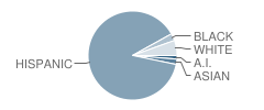 Vinedale Elementary School Student Race Distribution