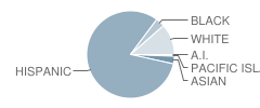 Newcastle Elementary School Student Race Distribution