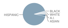 Primary Academy for Success Student Race Distribution