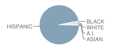 Nueva Vista Elementary School Student Race Distribution