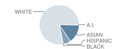 Blossom Hill Elementary School Student Race Distribution