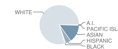 Raymond J. Fisher Middle School Student Race Distribution