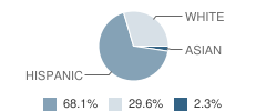 Meadow Green Elementary School Student Race Distribution