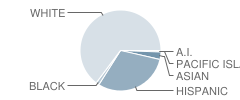 Arroyo Grande High School Student Race Distribution