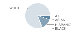 Ocean View Elementary School Student Race Distribution