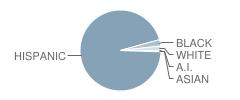 Millview Elementary School Student Race Distribution