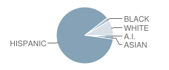 Alpha Elementary School Student Race Distribution