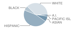 Manteca High School Student Race Distribution