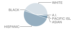 Nile Garden Elementary School Student Race Distribution