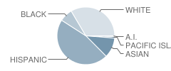 Stella Brockman Elementary School Student Race Distribution