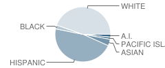 Las Juntas Elementary School Student Race Distribution