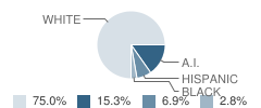 Dobbins Elementary School Student Race Distribution