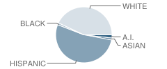 Maxwell Elementary School Student Race Distribution