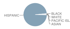 Kern Avenue Elementary School Student Race Distribution