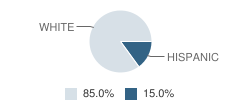 Albion Elementary School Student Race Distribution