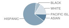 Charles Wright Elementary School Student Race Distribution