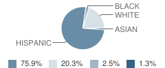 Hopeton Elementary School Student Race Distribution