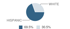 Washington Elementary School Student Race Distribution