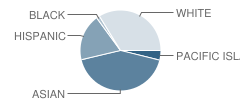 Green Hills Elementary School Student Race Distribution