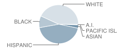 Elihu Beard Elementary School Student Race Distribution
