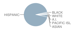 Ethel Pearson Elementary School Student Race Distribution