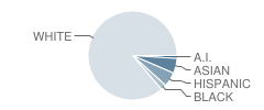 Bacon Elementary School Student Race Distribution