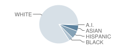 Air Academy High School Student Race Distribution