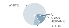 Frontier Elementary School Student Race Distribution