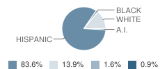 Kemp Elementary School Student Race Distribution