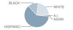 Clyde Miller Elementary School Student Race Distribution