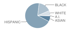 Elkhart Elementary School Student Race Distribution