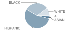 Lansing Elementary School Student Race Distribution