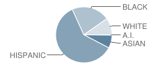 Sable Elementary School Student Race Distribution